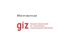 TPJ_Partner Logo_GIZ SN